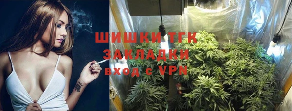 сатива Абдулино
