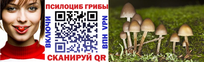 Псилоцибиновые грибы GOLDEN TEACHER  Энгельс 