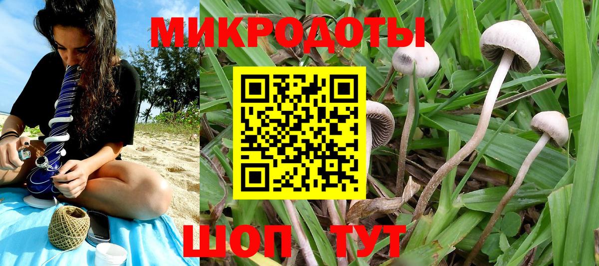 Галлюциногенные грибы Psilocybine cubensis Энгельс